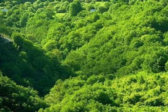بررسی طرح تنفس جنگل ها در برنامه مناظره