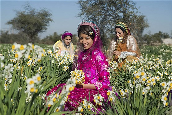 جشن گل نرگس در روستای جره