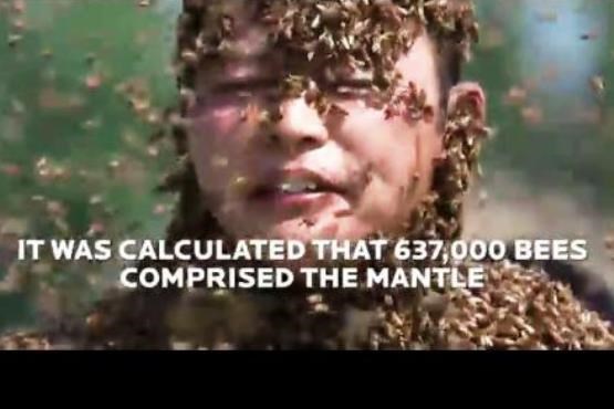 رکورد گینس در پوشاندن بدن با زنبور عسل + عکس