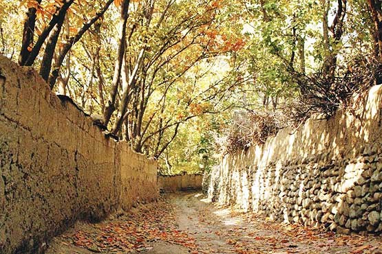 باغ‌های کن، آخرین بازمانده باغ‌های تهران