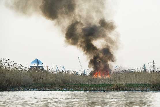 آتش‌سوزی عمدی در نیزارهای تالاب انزلی