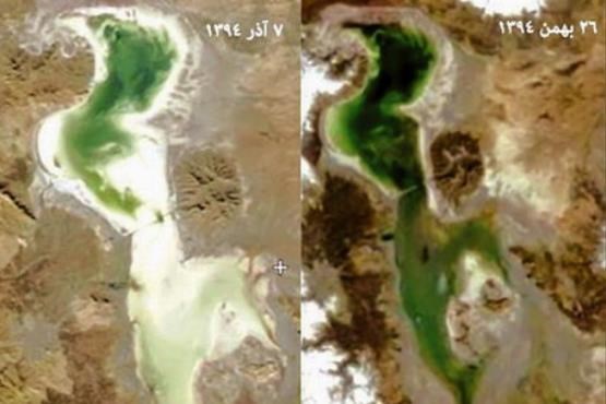 خبرهای خوش از دریاچه ارومیه