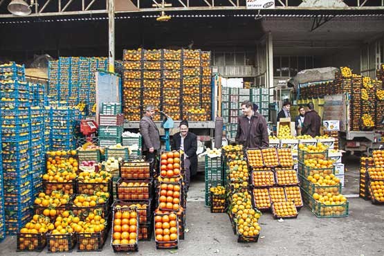 تهرانی ها روزانه 1000تن میوه می خورند