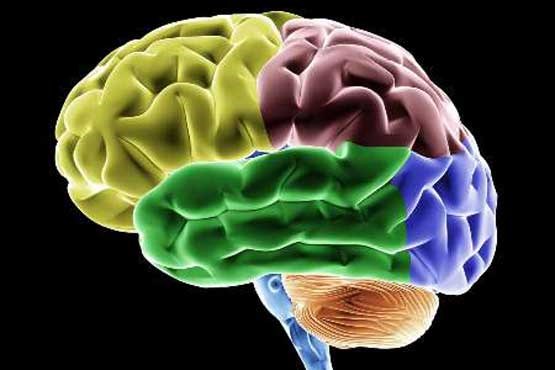 رشد فوق العاده مغز در چه سنی صورت می گیرد؟