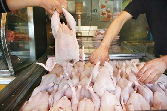 عرضه ۲۰ هزار تن گوشت مرغ ۵۳۰۰ تومانی برای تنظیم بازار ماه مبارک رمضان