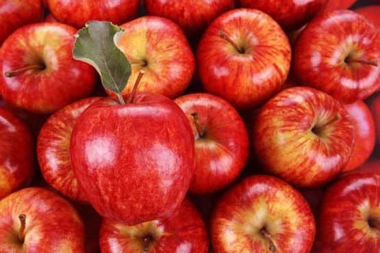 کشف راه سالم نگهداشتن سیب‌ تا چندین هفته