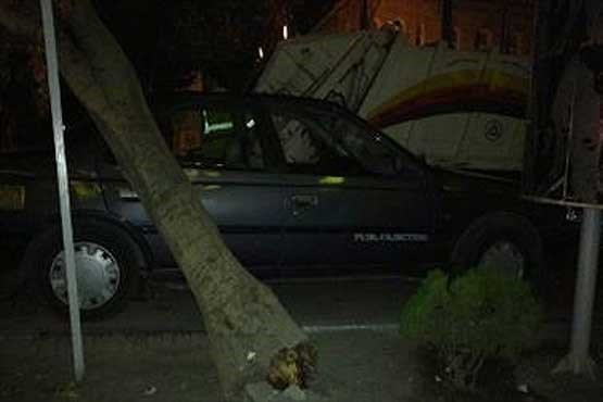 سقوط درخت روی 3 خودرو در خیابان کریمخان