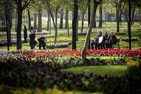 ‏‏جشنواره گلهای پیازی در پارک ملت مشهد