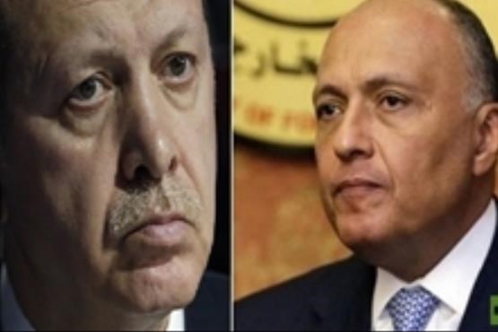 بی‌توجهی وزیر خارجه مصر به اردوغان