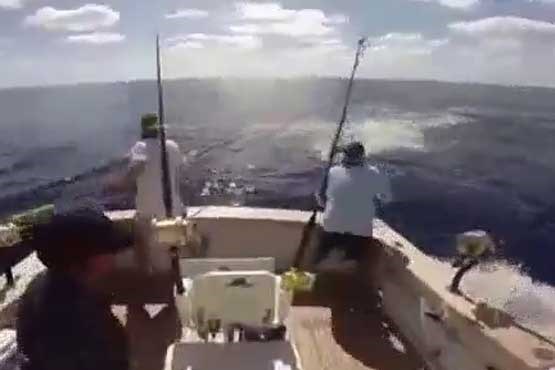 حمله نیزه ماهی به ماهیگیر