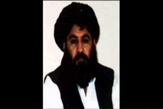سرکرده طالبان کشته شد