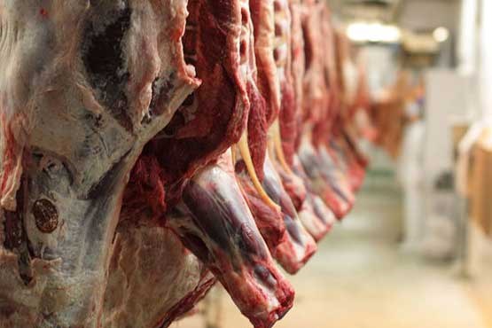 فروش گوشت ۲۳هزار تومانی در تهران