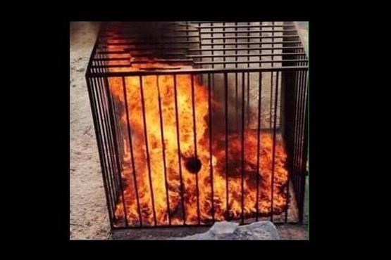 داعش، 19 دختر «کرد» را در قفس سوزاند
