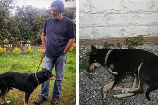 آیا سگ حبیب دق مرگ شده است؟! + تصاویر