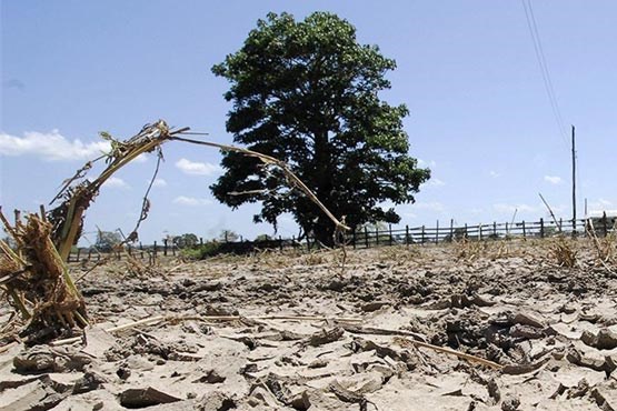 چهارمحال و بختیاری ششمین استان خشک کشور/کاهش ۴۳ درصدی بارش‌ها در بروجن