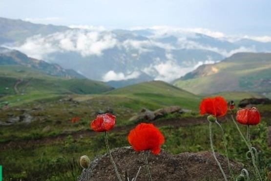 زیبایی مناظر طبیعی سوباتان اردبیل + نماهنگ