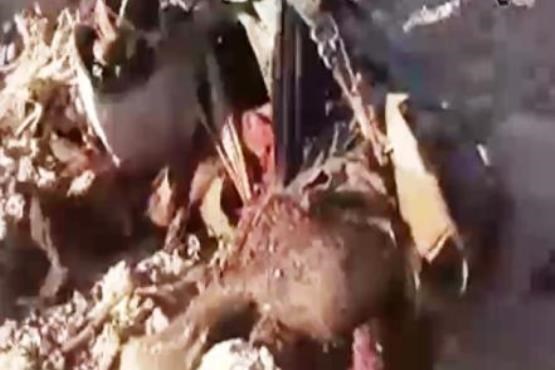 داعش جسد خلبان سوری را به صلیب کشید!  (فیلم 16+)
