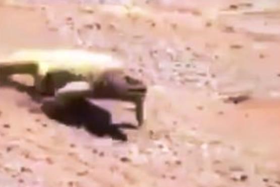 ویدیویی که نشان می‌دهد بیابان‌های عربستان چقدر داغ است!