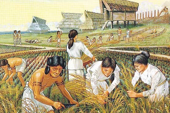 نخستین کشاورزان چه کسانی بودند؟