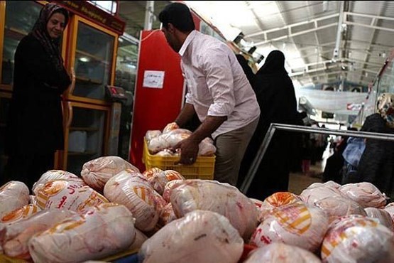 روند صعودی قیمت مرغ ادامه دارد