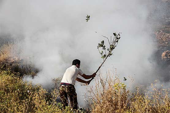 6 هکتار از باغات انگور شازند در آتش سوخت