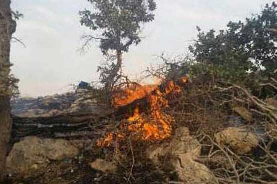 جنگل‌های «الوار» اندیمشک در محاصره آتش