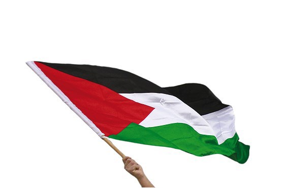 اسکاتلندی‌ها پرچم فلسطین را بالا بردند +عکس