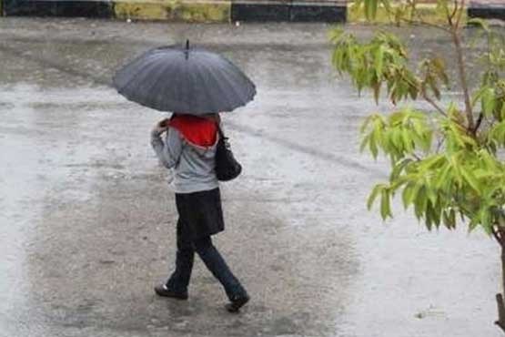 ابراز تعجب یک مسئول هواشناسی از آلودگی هوای تهران با وجود باران