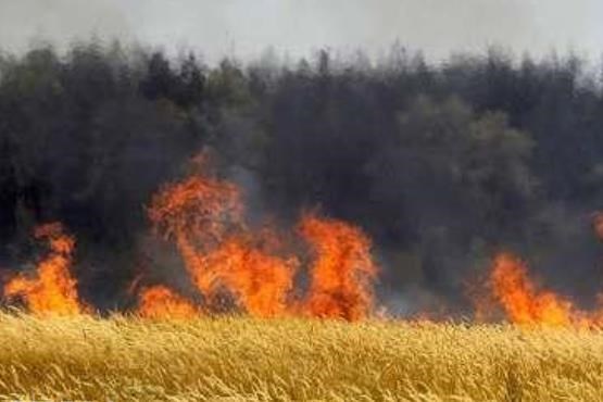 جبهه‌ النصره مزارع و باغ‌های قنیطره را آتش زد