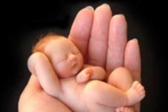 تولد نوزادی به اندازه کف دست + عکس