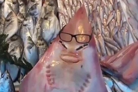 ماهی با صورتی شبیه به انسان +عکس