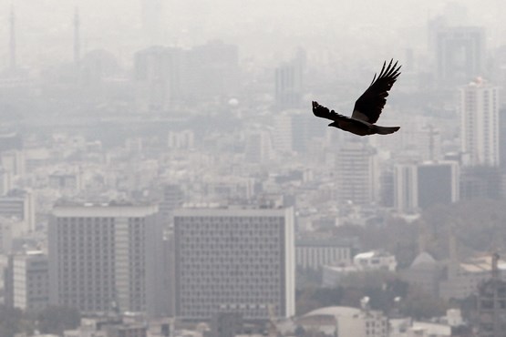 کیفیت هوای تهران همچنان ناسالم است
