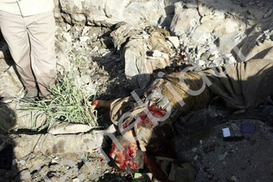 تصاویر تروریست‌های کشته شده در کرمانشاه /  +16