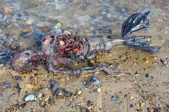 پیدا شدن جسد پری دریایی در سواحل انگلیس