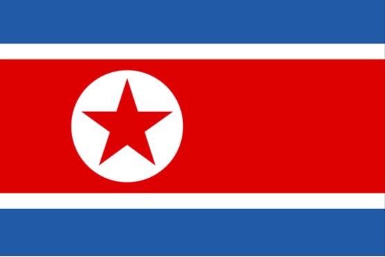 معاون وزیر خارجه کره شمالی تنبیه شد