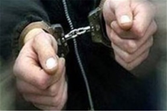 دستگیری کلاهبرداران خارجی با 800 هزار یورو تقلبی