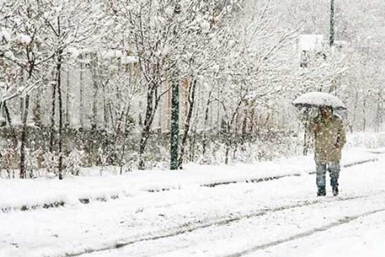 بارش برف و برودت هوا در اردبیل / مدارس تعطیل شد