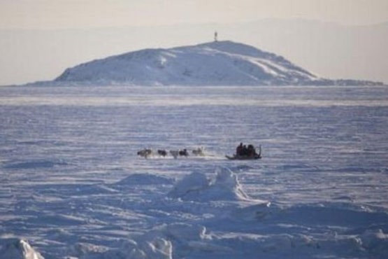 کشف هیولای یک چشم در قطب شمال +عکس