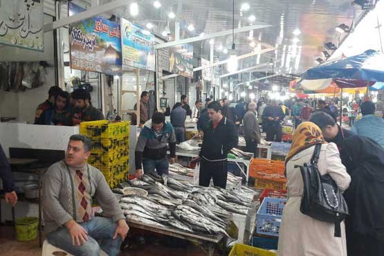 بازار ماهی فروش های فریدونکنار + عکس