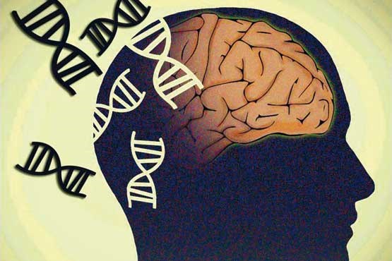 نقش ژن‌ها در بروز بیماری آلزایمر