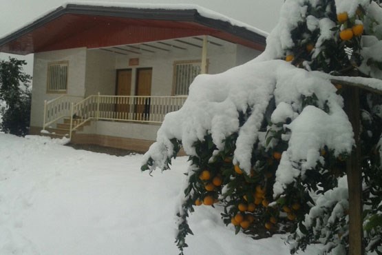 برف در روستای صنم حاجی کلا +عکس