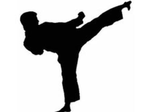 اتفاق عجیب : کلاهبرداری با نام قهرمانان کاراته!