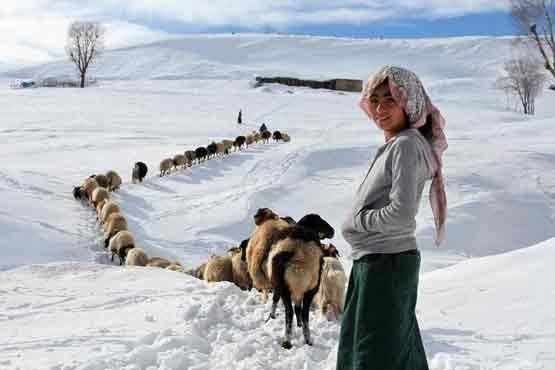 ایستاده در حباب/عروسهای زخمی در لبنان +  عکس