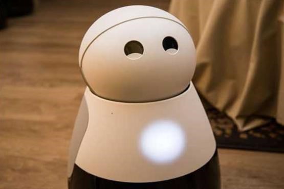 این ربات در خانه گشت زنی می کند  و به شما لبخند می زند +عکس
