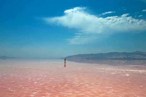دریاچه ارومیه 7 سال دیگر زنده می‌شود
