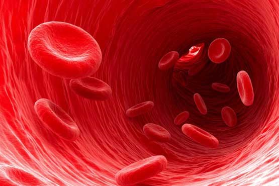 کشفی که تولید انبوه خون را ممکن می کند