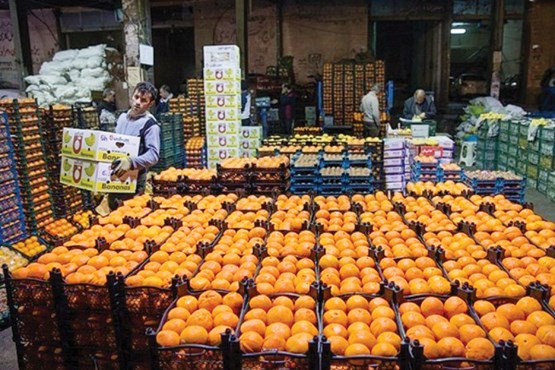 واردات 25 هزار تن پرتقال از مصر