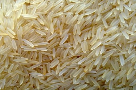صادرات برنج هندی به ایران متوقف شد