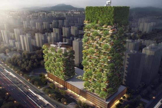 ساخت جنگل‌های عمودی در چین برای کاهش آلودگی هوا