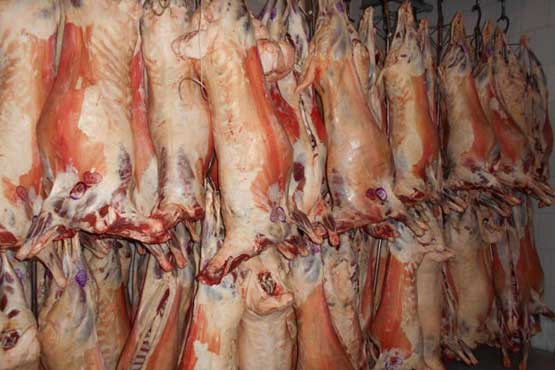 مردم نگران کمبودگوشت و مرغ برای عید نباشند/ قیمت گوشت تا ۳۰ هزار تومان کاهش می‌یابد